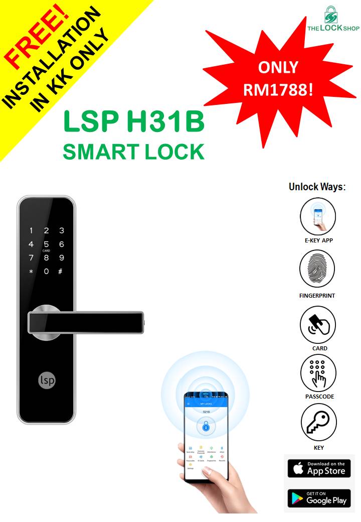 Slide2_LSP H31B